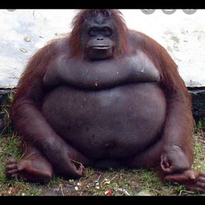 Meet your Posher, Cassidy